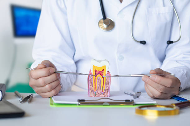 Best Emergency Root Canal Treatment in Mokena, IL